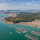 사랑줄개 이미지