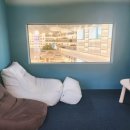 동명초교병설 이미지