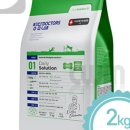 쿨한 강아지 이미지