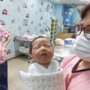 황금빛농장 이미지