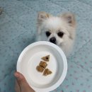 솜바지 다과점 이미지