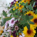 대동화원 이미지