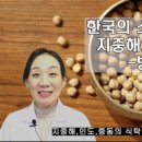 지중해푸드