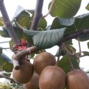 갈마농장 이미지