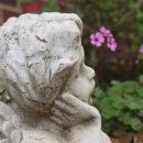 나의작은천사에게 이미지