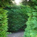 미로파크 이미지