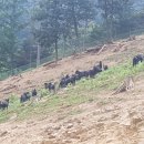 황혼농장 이미지