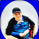 용식농장 Daum카페
