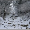 천왕봉가는길에 이미지