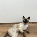 유온민박