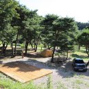 숲속의야영장 이미지