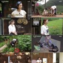 맛있는삼시세끼 이미지