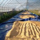 송함농장 이미지