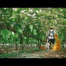 샤인농장 이미지