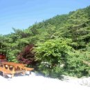 황토와통나무별장 이미지
