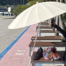 설리해수욕장 화장실 입구 | 남해 설리해수욕장 스노쿨링 , 샤워장 평상가격 주차