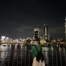 JABA JABA | 질스튜어트뉴욕(JILLSTUART) 시티백 로고 메탈 포인트 블랙 백팩 JABA4E983BK 후기 *_*