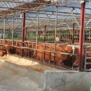 천현농장 이미지