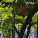 STAY 고도17 | 누군가 몰래 당신을 부러워하고 있어요