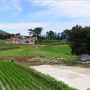 동대공인중개사사무소 이미지