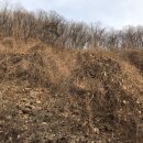 소요동사무소 이미지