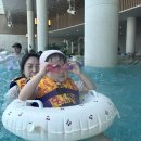 고성/속초 여행 이미지