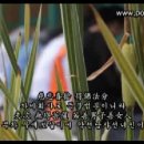 불설천지팔양신주경(佛說天地八陽神呪經)-영인스님 (34분) 이미지