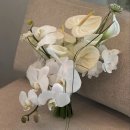 (주)에이더블유피 | 하이엔드 스드메 0. 워크인 vs 플래너 고민된다면... 알잘딱깔센 플래너 주아드 장미선 대표님 계약 후기.