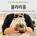 의창대로-1 | 창원 테라리움 공방 율리리움 원데이클래스 체험 후기