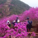 천주산 등산로 이미지