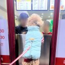 이삭 관저점 이미지