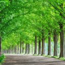 화순전통시장(화순읍전통시장) | 여름 피서 온천과 주변 먹거리·볼거리 총정리 (정부 추천 10대 온천 화순편)