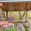 산양저도 항포구 공중화장실 | 경기도 가볼만한곳 베스트 추천(서울근교)/퇴촌 율봄식물원/가족나들이,데이트코스