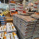 세계로마트 | 수지 세계로마트 (고기,야채 행사가격)