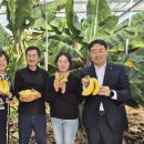 이재철농장 이미지