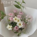 오르브아