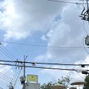 (주)위글로우 | TTRS 성수 🍋 / Alloso 소파&amp; 테이블, 29cm home 키친웨어 &amp; 소품 등