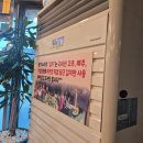 댕댕이수라상 | 속초 현지인 맛집 리스트 왕가수라청 손님 모시고 꼭 가는 집