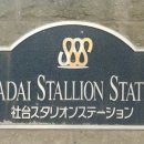 차다목장 이미지