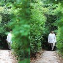 바람숲 네이버블로그