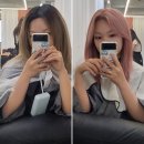 논노브