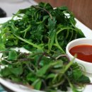 영진식당 Daum카페