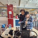 남포아지트 이미지