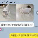 리배