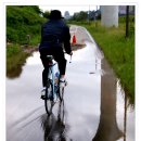 호미숙 자전거여행[곤파스에 할퀴고 폭우에 휩쓸려 초토화된 한강의 가을] 이미지