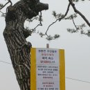 옹동우체국 이미지