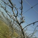 부춘농장 이미지