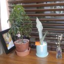 소리엘음악교습소 이미지