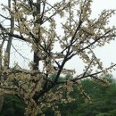 태백석탄박물관 이미지