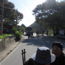 옥대3리 이미지